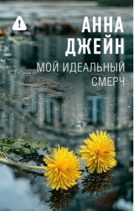 Мой идеальный смерч