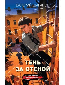 Тень за стеной