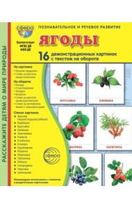 Ягоды. 16 демонстрационных картинок с текстом на обороте