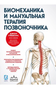 Биомеханика и мануальная терапия позвоночника