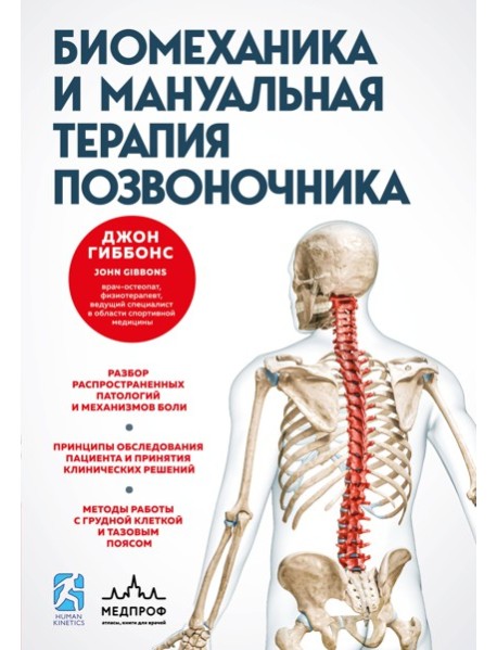 Биомеханика и мануальная терапия позвоночника