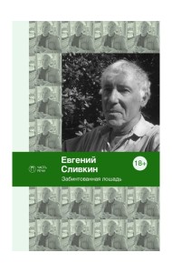 Забинтованная лошадь