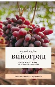 Виноград. Путь лозы. Шпаргалка-трекер: от черенка до грозди