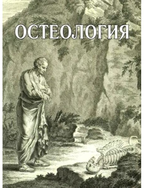 Остеология