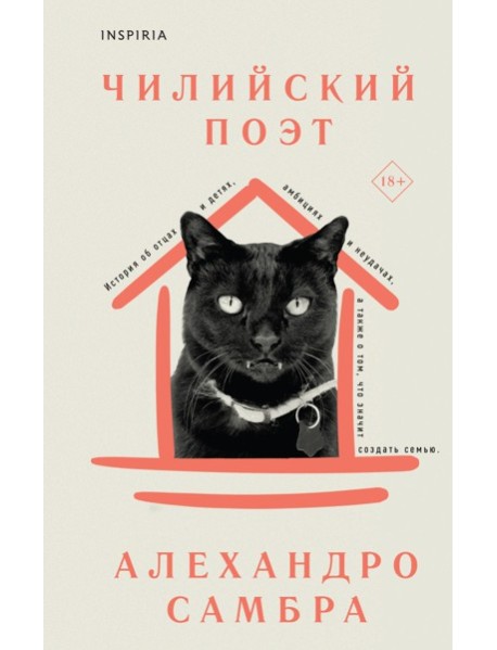 Чилийский поэт
