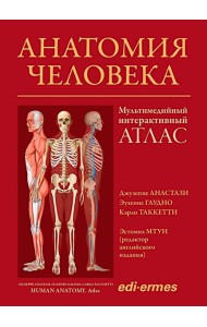 Анатомия человека:атлас