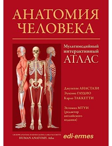 Анатомия человека:атлас