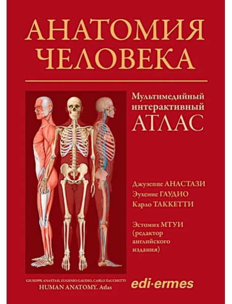 Анатомия человека:атлас