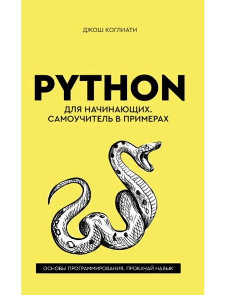 Python для начинающих. Самоучитель в примерах