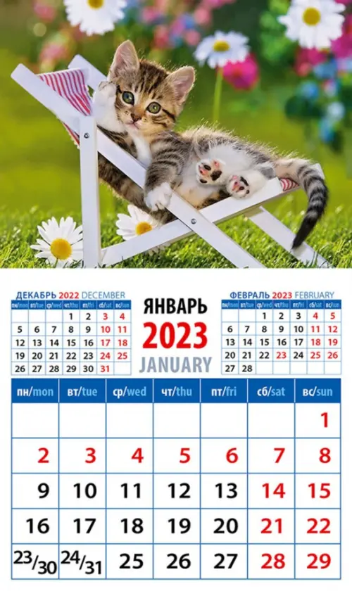 Календарь на 2023 год. Год кота. Отдых в шезлонге