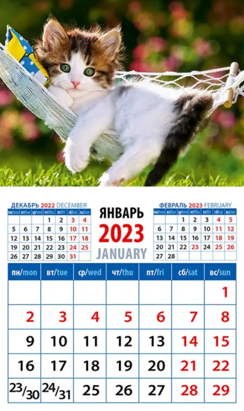 Календарь на 2023 год. Год кота. Отдых в гамаке