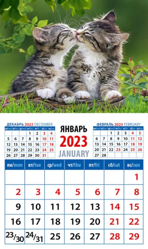 Календарь на 2023 год. Год кота. Кошачьи нежности