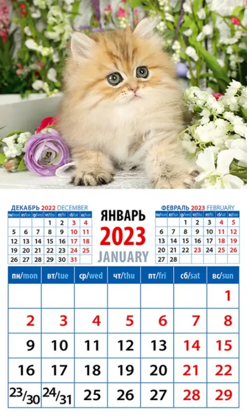 Календарь на 2023 год. Год кота. Пушистый красавчик
